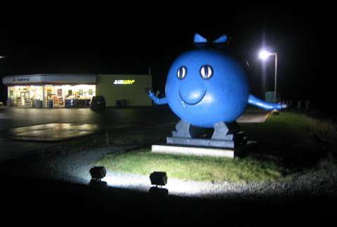 Oxford Giant Blueberry Statue